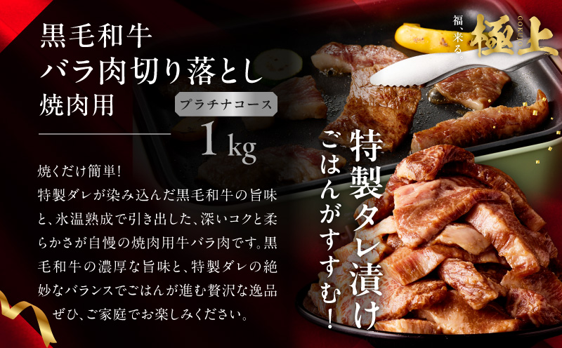 極上福袋 プラチナコース 5種 4kg以上【牛肉 ステーキ 牛タン 焼肉 しゃぶしゃぶ すき焼き 氷温熟成×極味付け】 mrz0236