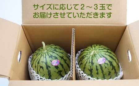 和歌山産小玉すいか ひとりじめ7(2～3玉)