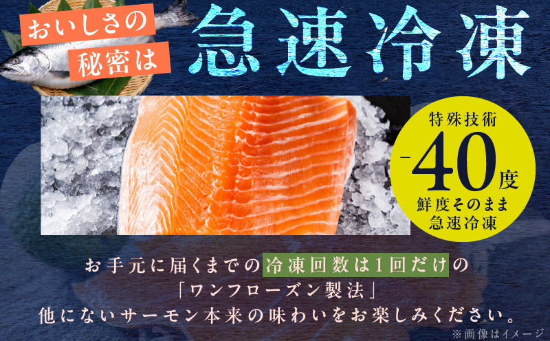 【サーモン食べ比べ】アトランティックサーモン 200g×2P ＆ 鮭ハラス 200g×5P【小分け 鮭 昆布塩加工 はしっこ サーモン 大トロ 腹ヒレ肉 北国からの贈り物】 099H3439
