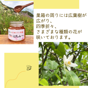 天然百花蜂蜜 600g ハチミツ はちみつ honey ニホンミツバチ 天然の花