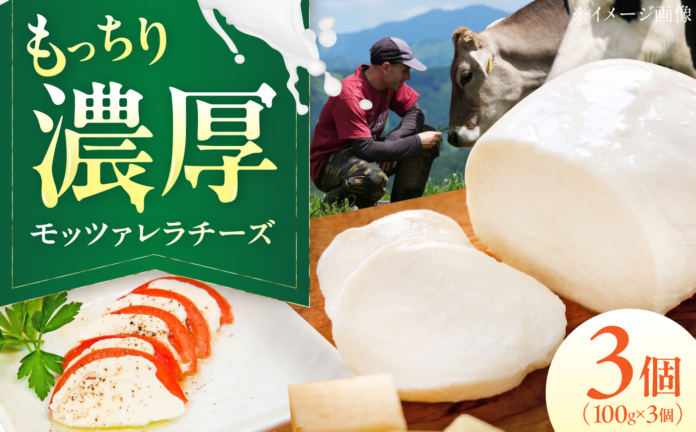 山地放牧酪農ミルクのモッツァレラチーズ 3個セット/チーズ モッツアレラチーズ 愛媛県 伝統製法 おつまみ 乳製品/株式会社醍醐 [BKAH007]