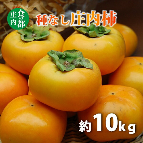 【ふるさと納税】種なし庄内柿約10kg（約5kg×2箱）　※令和7年10月下旬頃～順次配送　（マルショウ青果）