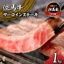 【ふるさと納税】但馬牛 サーロインステーキ 1kg 焼肉 送料無料 高級 国産 黒毛和牛 和牛 肉 牛肉 内祝い プレゼント ギフト お取り寄せ 但馬玄 たじまぐろ 炒め物 希少部位 お取り寄せ グルメ 国産 お歳暮 お誕生日 霜降り テレビ 紹介 01-09