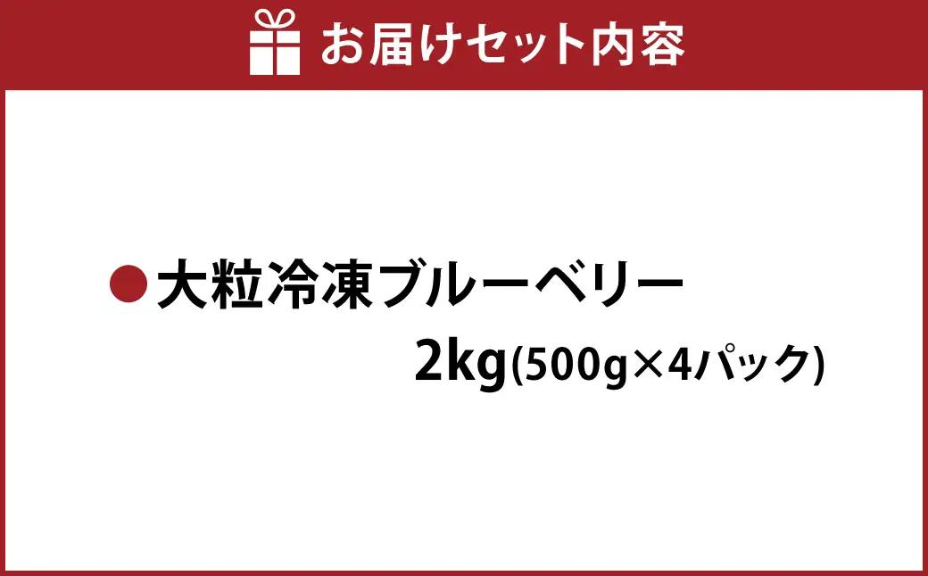 熊本県産 大粒 冷凍ブルーベリー 2kg（500g×4パック） フルーツ 果物 くだもの 冷凍 ブルーベリー 国産 【2026年7月上旬発送開始】