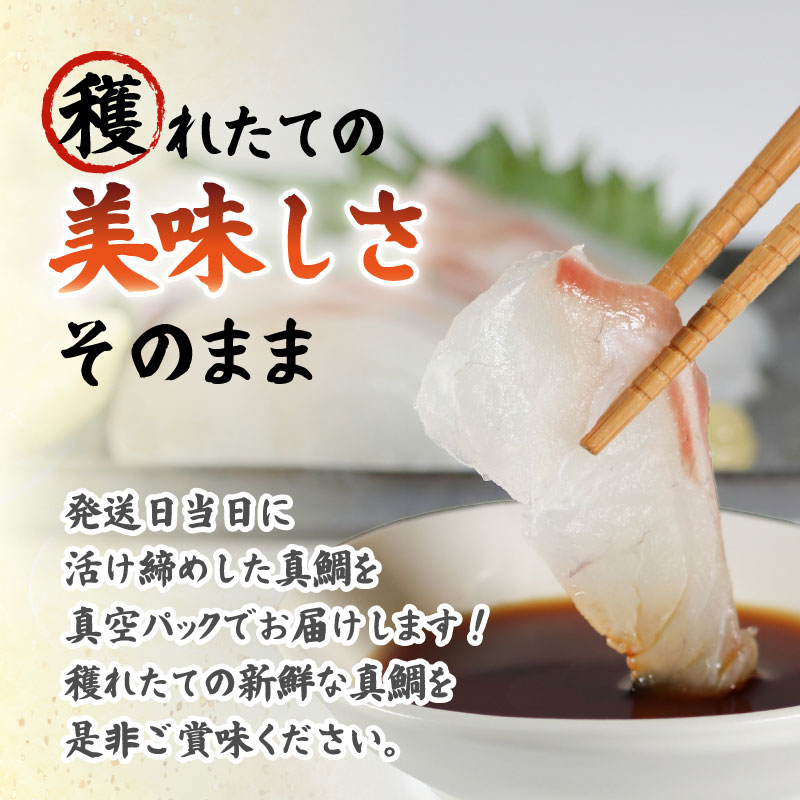 真鯛 お炭付き鯛 1匹分 ( 約1.2～1.6㎏ ) フィーレ 頭 カマ 付き 冷凍 小分け 真空パック鯛 新鮮 海鮮 魚介 鮮魚 養殖 柵 刺身 刺し身 さしみ しゃぶしゃぶ 鯛しゃぶ 寿司 カマ 