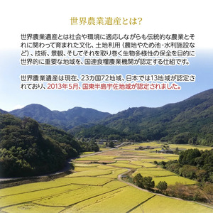 令和7年産新米 食味値80点以上/国東産「つや姫」5kg×1袋 _1673Ｒ-1