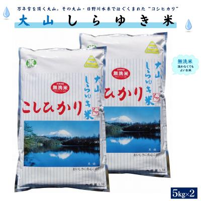 ふるさと納税 米子市 令和6年度 大山しらゆき米10kg(無洗、コシヒカリ、5kg×2)