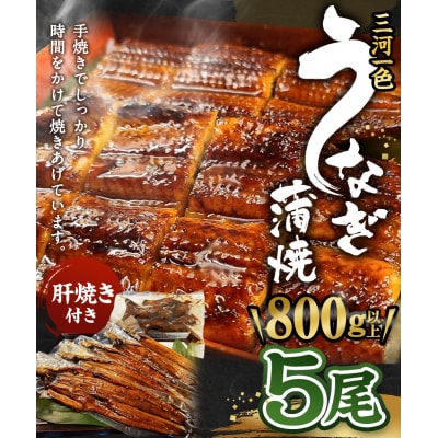 三河一色うなぎ蒲焼 5尾(肝焼き付き) うなぎ 蒲焼