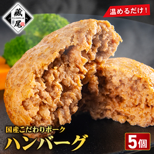ハンバーグ 5個 冷凍 真空 簡単 レンジ ハンバーグハンバーグハンバーグハンバーグ