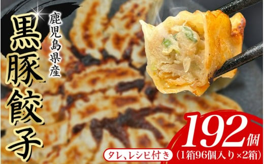 黒豚 冷凍餃子 192個 / 惣菜 餃子 ぎょうざ 焼き餃子 焼餃子 お弁当 おかず 晩ご飯 食品 加工品 大阪府 豊中市 人気ラーメン店 げんこつ【gnkt0003】