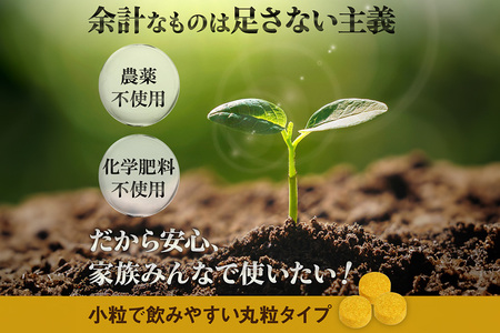 【金秀バイオ】沖縄県産熱帯ウコン90粒　3袋セット　90日分（約3ヶ月分）