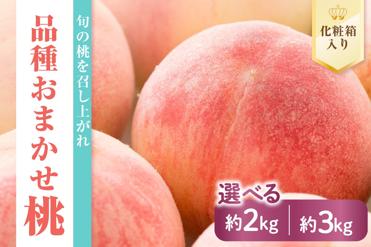 
                  【先行予約】 数量限定 令和8年産 もも 品種 おまかせ 約2kg 約3kg 桃 2026年8月中下旬～9月上旬頃 お届け予定 山形県 米沢市
                
