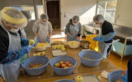 乾燥りんご 「ソフトチップ りんごさん」 30g×10袋 輪切り お菓子 おやつ 作業所きらり