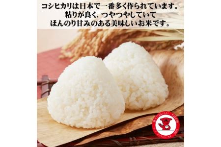 千葉県産コシヒカリ10kg（5kg×2）【お米マイスター厳選】【ご希望時期に発送】