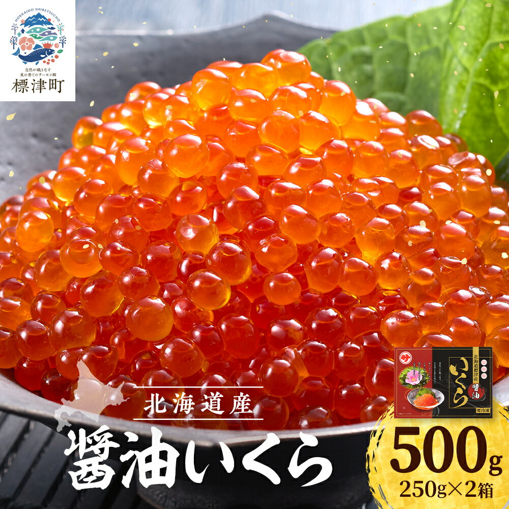 【ふるさと納税】【令和7年新物】醤油いくら500g(250g×2) イクラ 北海道 人気 おすすめ さけ 魚卵 天然_ いくら いくら醤油漬け 冷凍 小分け 鮭 鮭卵 国産 本場 北海道産【配送不可地域：離島】