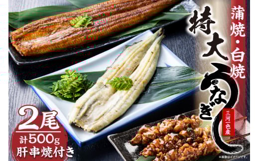 【土用の丑の日対応　一の丑7/6（日）入金まで二の丑7/21（月）入金まで】三河一色産　最高級うなぎセット 特大2尾（蒲焼・白焼各1尾）計500g（冷蔵配送）