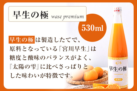 『菅本果実園』こだわりの手搾りみかんジュースセット 太陽の雫530ml×1本 早生の極み530ml×1本《11月下旬‐2024年4月末頃出荷》  熊本県玉名郡玉東町