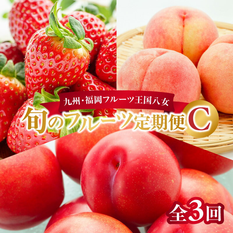 【ふるさと納税】九州・福岡フルーツ王国八女　旬のフルーツ定期便【全3回】 C　あまおう いちご もも すもも 果物 フルーツ 定期便