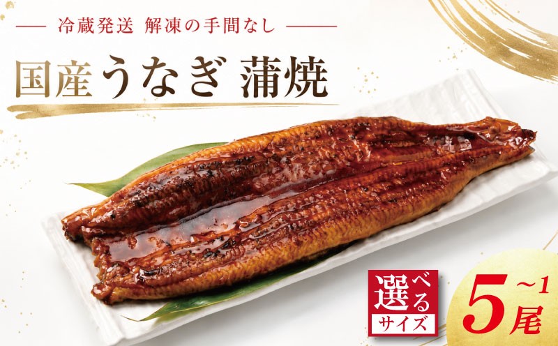 
                  うなぎ 蒲焼 国産 選べるサイズ 1尾～5尾 《 冷蔵発送 解凍手間なし！》 鰻 ウナギ 蒲焼き 国産うなぎ 国産鰻 うなぎ蒲焼き 冷蔵 土用 丑の日 父の日 小分け 徳島 魚市場 【GW・シルバーウィーク・お盆・年末年始 の指定日は不可】
                