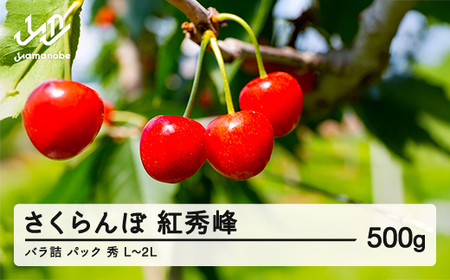 ≪先行予約≫ 2025年 山形県産 さくらんぼ 紅秀峰 バラ詰め（パック） 500g 秀 L～2L サクランボ F21A-455