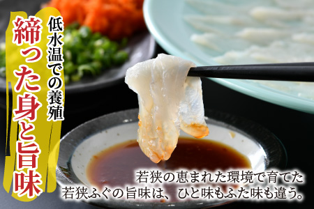 【TVで紹介されました】【2025年10月17日より順次発送】若狭ふぐ特選セット 4人前|旅サラダ お歳暮 ふぐ フグ 若狭ふぐ 刺身 てっさ ふぐ皮 ひれ酒 新鮮 豪華 贅沢 冷蔵 薬味 ふぐ刺し