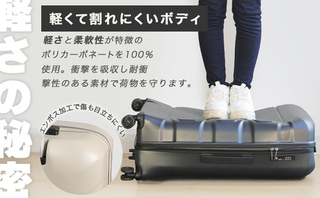 [Proevo]  13001-3 Lite Frex 超軽量ファスナーキャリーS AY382 スーツケース 超軽量 LCC キャリーケース キャリーバッグ 耐衝撃 小型 薄型 機内持ち込み 静音 ダ