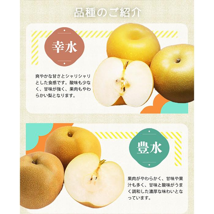 梨 3玉 化粧箱入 紀州和歌山 かつらぎ産【2025年8月下旬以降発送予定】【UT98】