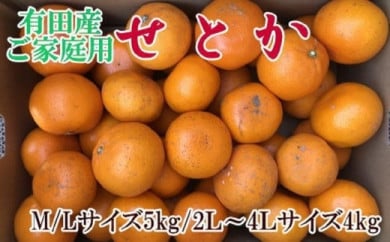 (訳あり・ご家庭用)一度は食べていただきたい「有田産のせとか」約4kg～5kg★2026年２月中旬頃より順次発送［TM210］