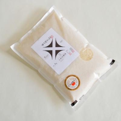 ふるさと納税 新庄市 米食味鑑定士厳選　ゆうだい21(精米)2kg