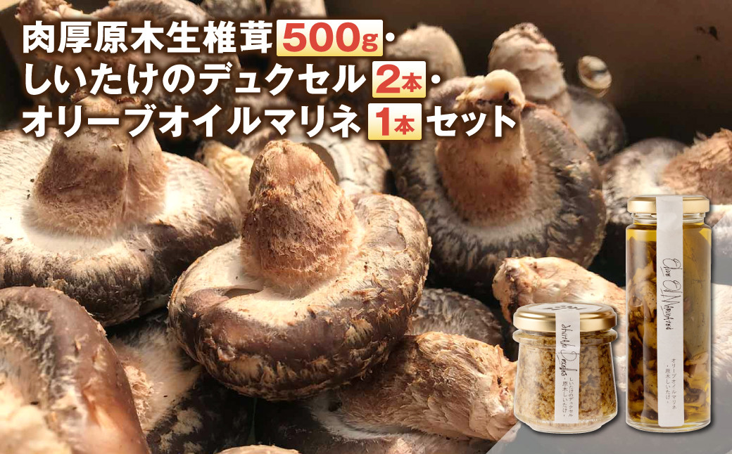 
            肉厚原木生椎茸 500g・しいたけのデュクセル 75g×2本・オリーブオイルマリネ 130g×1本 3種セット
          