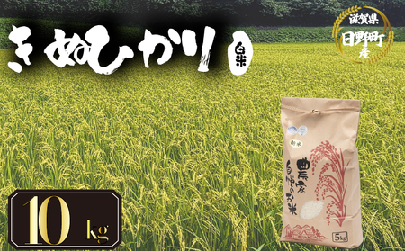 【先行予約】令和8年産 新米 キヌヒカリ 10kg 白米  米 【KW004】 近江米 精米