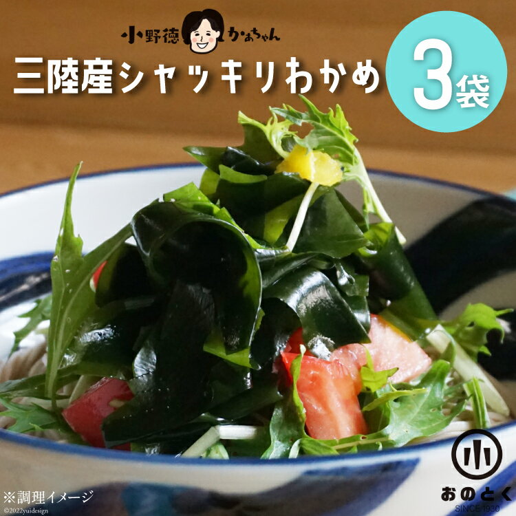 【ふるさと納税】【肉厚1等品】 三陸産 シャッキリわかめ 200g ×3袋 [小野徳 宮城県 気仙沼市 20565560] 海藻 ワカメ わかめ 若布 塩蔵わかめ 塩蔵 肉厚 1等品 冷蔵