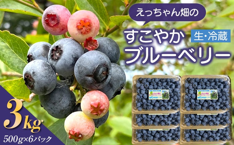 
                  えっちゃん畑のすこやかブルーベリー 3kg（500g×6パック／生・冷蔵）
                