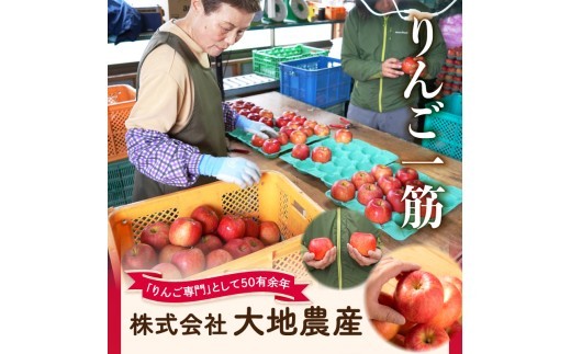 《先行受付》【2027年3月発送予定】 訳あり 家庭用サンふじ約10kg【大江町産・山形りんご・大地農産】