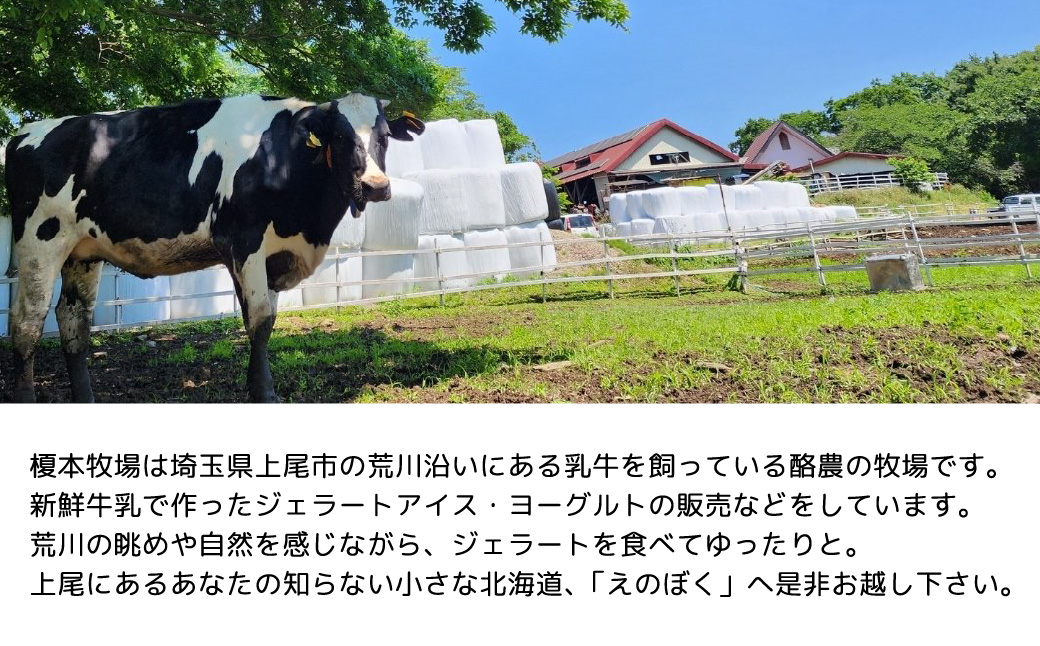 榎本牧場のこだわりジェラート 和風ジェラートセット 6個 (ミルク、抹茶、サツマイモ、カボチャ、小倉、きな粉) | 埼玉県 上尾市 アイス スイーツ デザート 夏 涼 新鮮ミルク ジェラート 抹茶 ミ