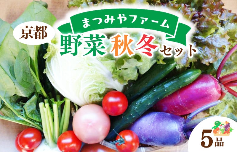 
                  京都・まつみやファームの京都の野菜秋冬セット（5品）（2026年11月上旬〜発送）　京野菜 セット 使いやすい 日用使い 厳選 新鮮 お試し 献立 とれたて 旬　MY00002
                