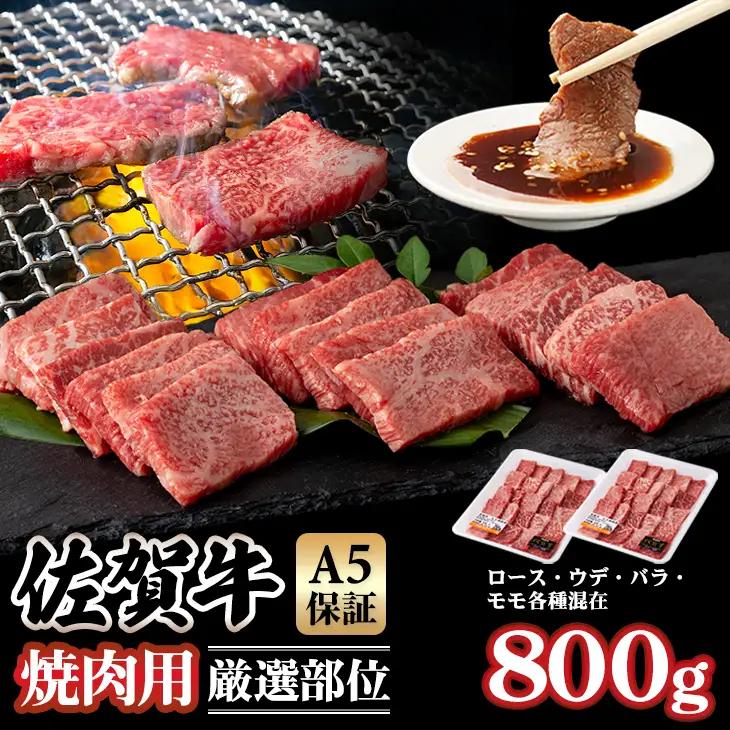 佐賀牛 焼肉  800g  焼肉 牛肉 厳選部位 C210-008