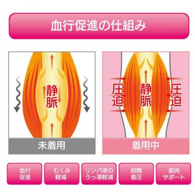 ふるさと納税 大和高田市 一般医療機器サポーター　ムクナインアクティブ　2個セット |  | 02
