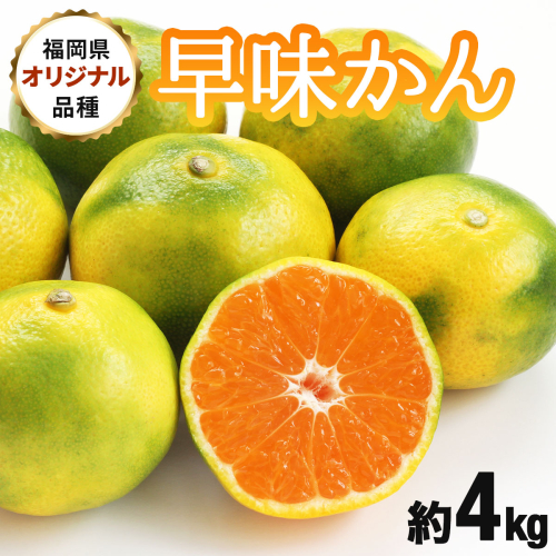 【先行予約】福岡限定!オリジナルブランドみかん「早味かん」約4kg(篠栗町)【NF004】