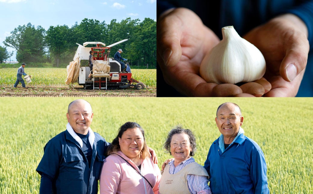芳醇な香りと上質な風味を探求！北海道 十勝 中札内村 鎌田農園の至高にんにく 大玉 （Lサイズ） 6個入り にんにく ニンニク 大蒜 【2025年10月上旬～2026年4月上旬に順次発送予定】  [0