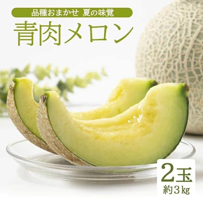 
                  庄内砂丘 『品種おまかせ青肉メロン』　約3kg(2玉入) SA2978
                