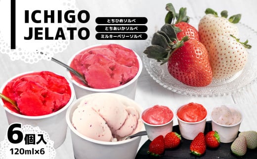 いちごジェラート ( とちひめソルベ、とちあいかソルベ、ミルキーベリーソルベ ) 6個入り箱 | いちご ジェラート とちひめ とちあいか ミルキーベリー ソルベ  冷凍 デザート 苺 6個 入り  果物 栃木県 真岡市 送料無料