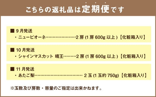 【3回定期便】岡山県産 フルーツ定期便コース （ニューピオーネ・ 晴王・あたご梨） 計約3.9kg 【2026年9月上旬発送開始】 ニューピオーネ シャインマスカット 晴王 ぶどう 葡萄 マスカット 