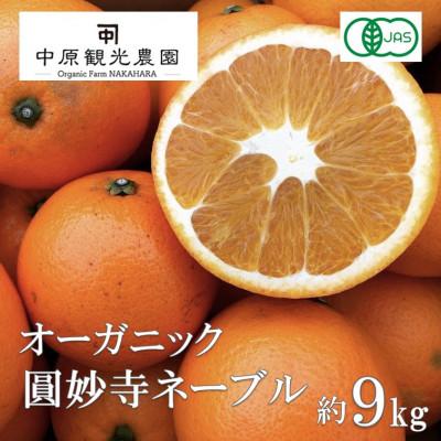 ふるさと納税 大崎上島町 【2027年1月上旬より順次発送】大崎上島産オーガニック圓妙寺ネーブル 約9kg　(有機JAS認証)