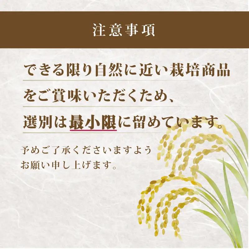 【令和8年産 新米】夢ごこち 10kg 白米 環境こだわり米 お米 
