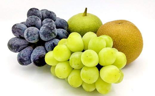 
                  B-1170 赤梨とぶどうのセット
                