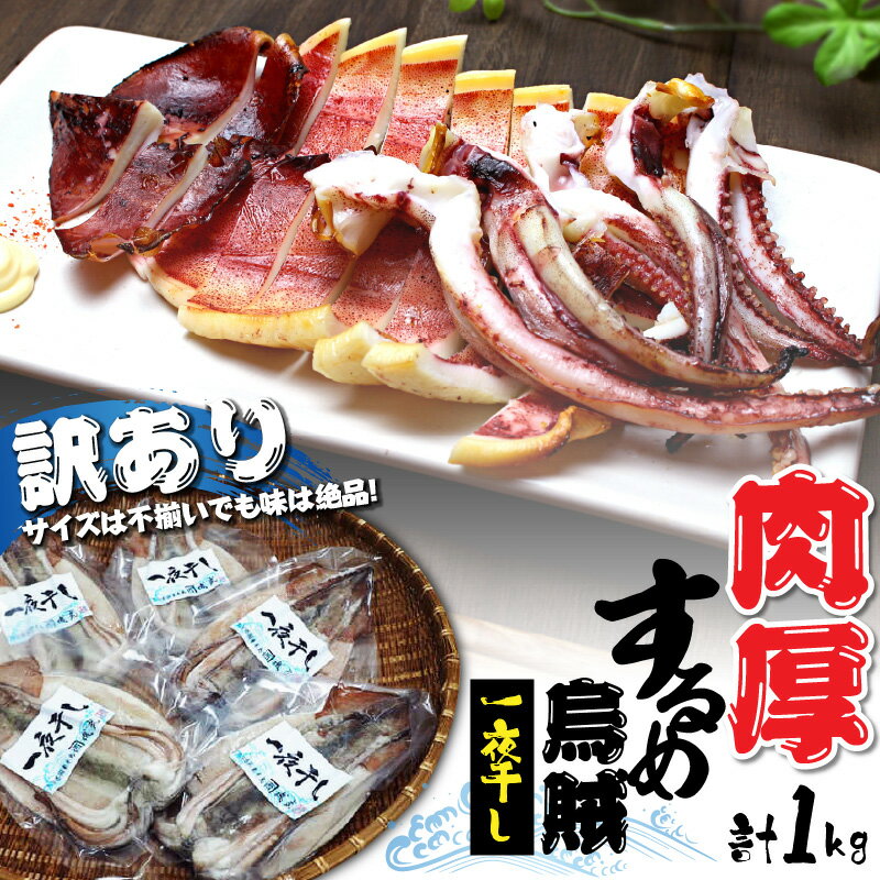 【ふるさと納税】訳あり 肉厚するめ烏賊一夜干し 1kg以上 3～6尾 サイズ不揃い 味は絶品 酸化防止剤 着色料 不使用 肉厚 甘みの強い 素材の美味しさ 甘塩 国産 イカ 海鮮 干物 おつまみ おかず ゲソ 耳 コリコリ食感 炙り お取り寄せ グルメ 大分県 国東市 送料無料