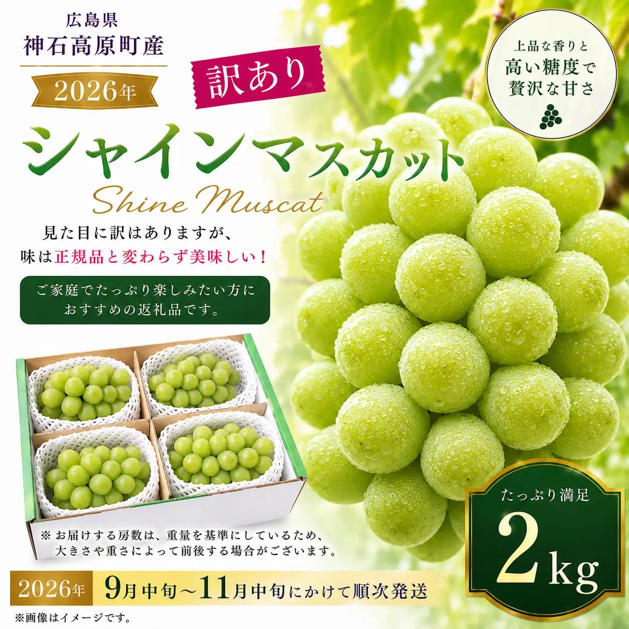 【2026年先行予約】シャインマスカット 約2kg 訳あり 家庭用 大粒 高糖度 種なし ぶどう 葡萄 広島県 神石高原町産