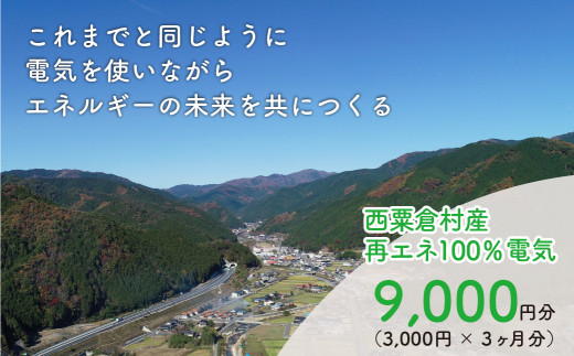 
電気料金 （3,000円×3ヶ月分） 百森でんき CO2フリー 地域電力 お礼の電気 脱炭素 ゼロカーボン 岡山県 西粟倉村 【まずは寄付のお申し込みを！】 e-vv-A01D
