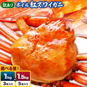 【ふるさと納税】【訳あり】鳥取県産 ボイル紅ズワイガニ 選べる 内容量 1kgセット(3枚入り) 1.5kgセット(5枚入り)さんチョク《2024年9月中旬-2025年7月中旬頃出荷》鳥取県 八頭町 蟹 かに カニ 鍋 紅ズワイガニ ズワイ蟹 ボイル 送料無料【配送不可地域あり】